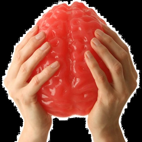 Halloween Candy Gifts Gummy Life-Sized Brain Candy